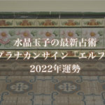【水晶玉子】プラナカンサイン「エルフ」の2022年運勢※無料占い